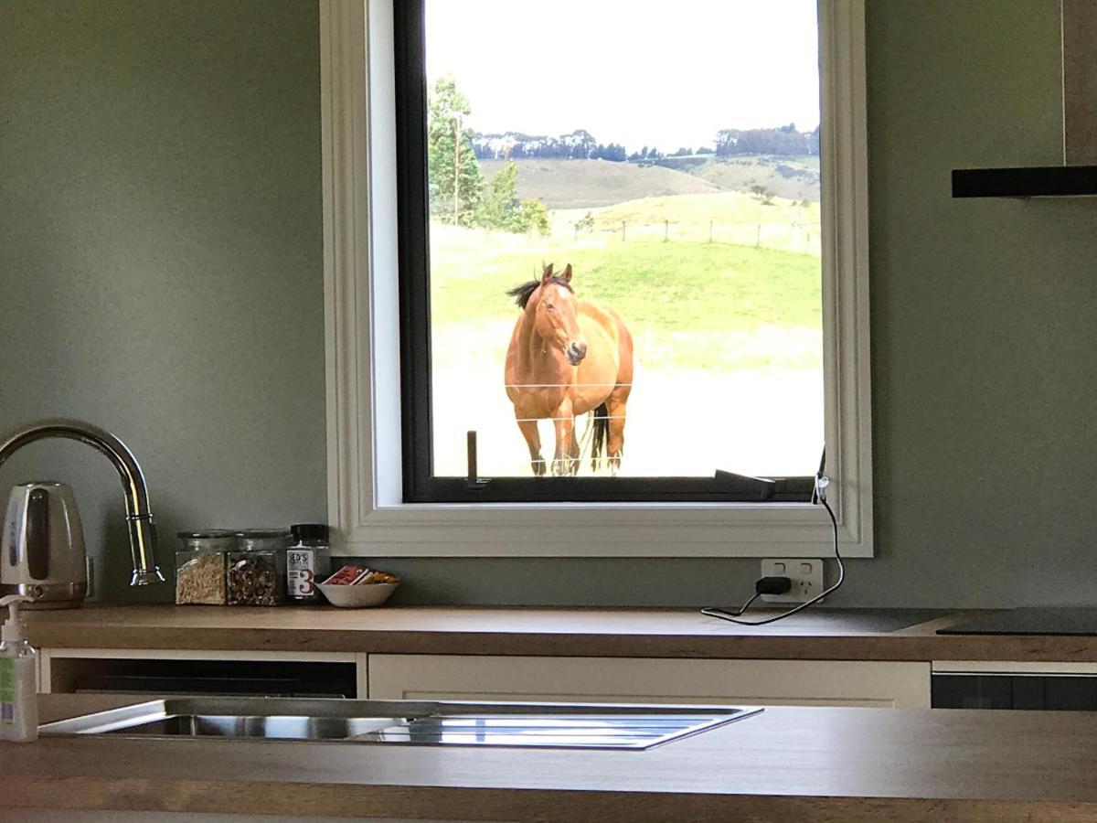 Kepler Oaks Chalet Te Anau Esterno foto